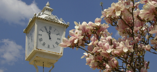 Der Frühling ist wieder da...