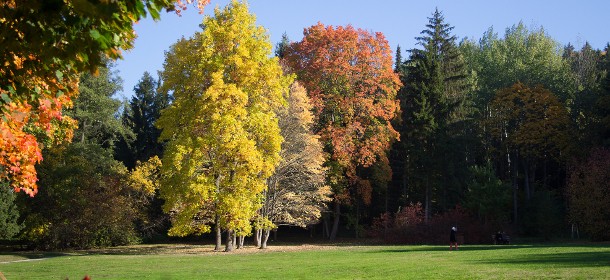 Marienbad in wunderschönen Herbstfarben